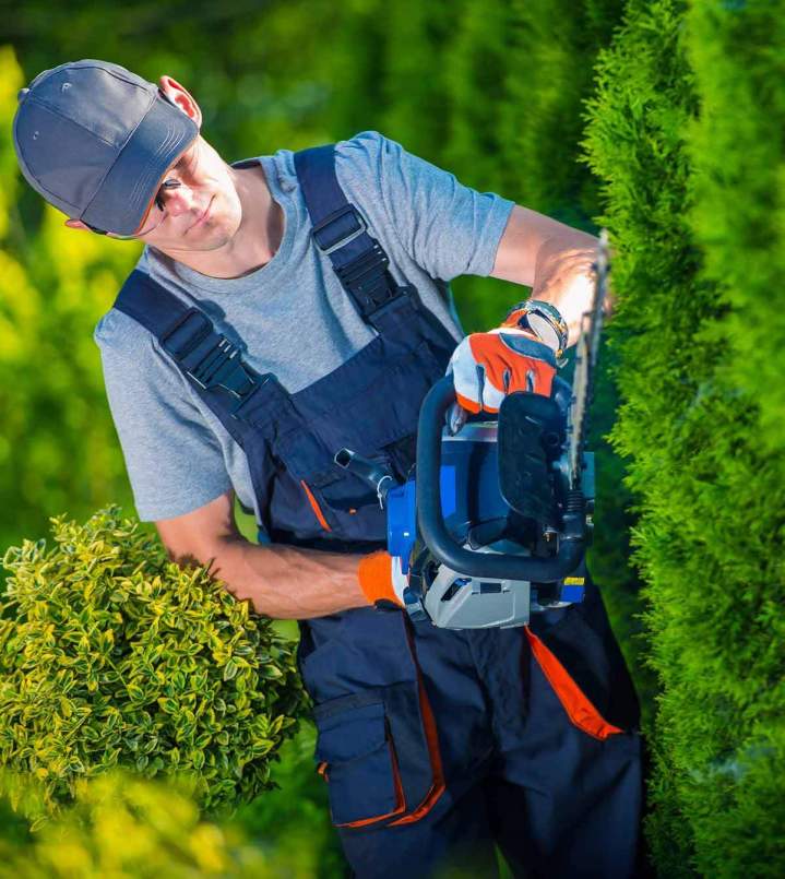 Service d'aménagement de jardin à Sartrouville